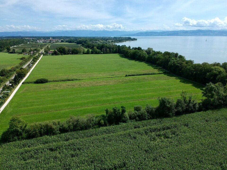 Apartment Felchen 1 - Silberweide - Mit Privatstrand Friedrichshafen Exteriér fotografie